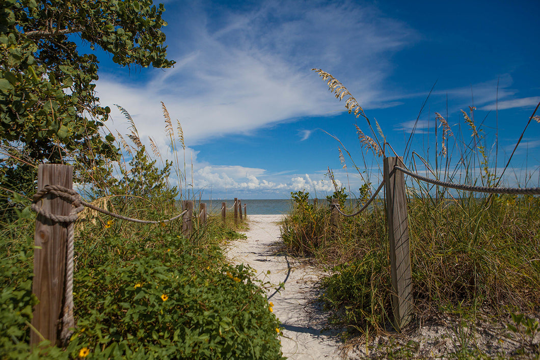 Beach Path